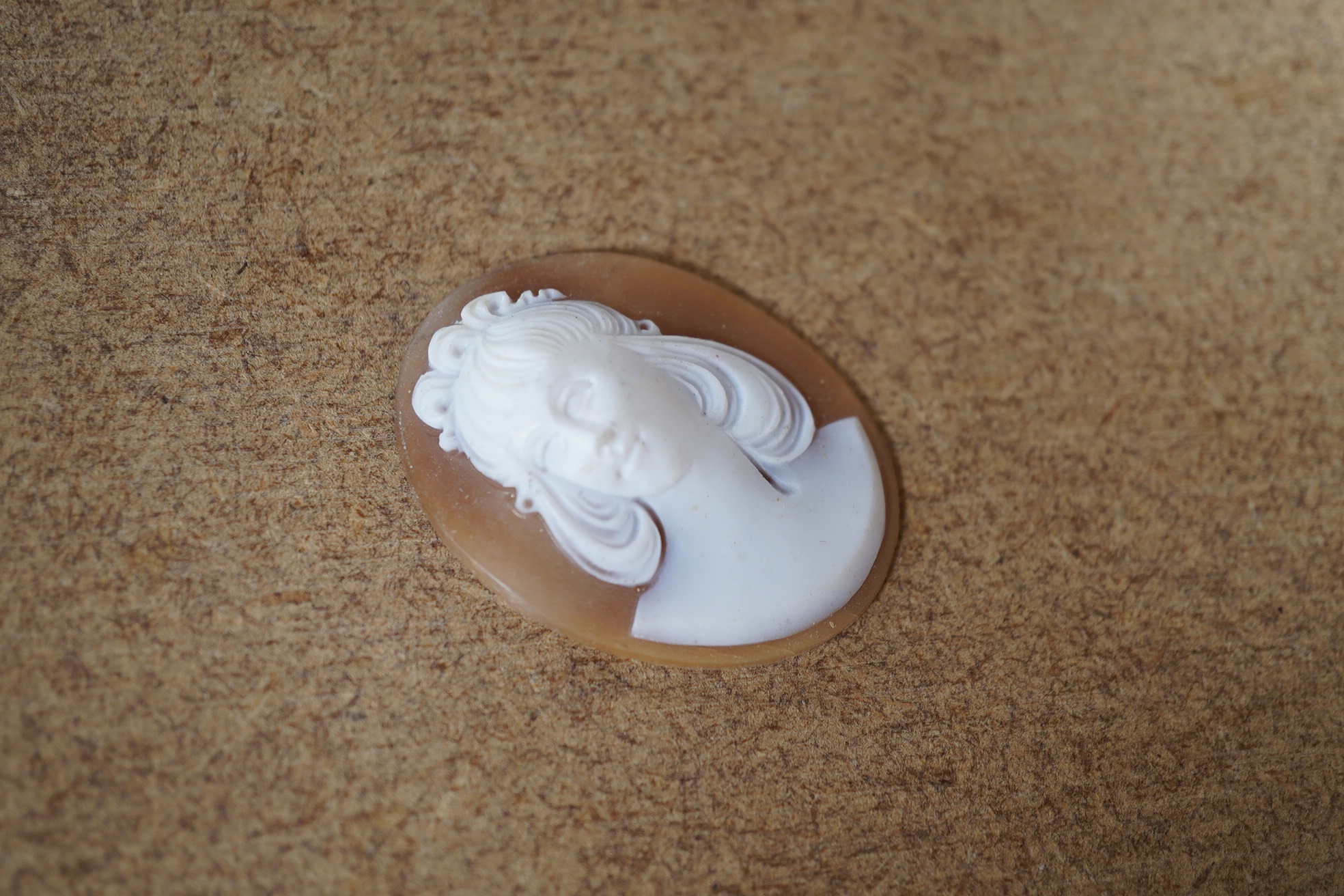 A quantity of assorted unmounted carved mainly cameo shells, largest 49mm, smallest 6mm. Condition - poor to good